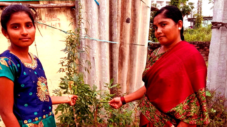 aglasterhousen bb0120.jpg